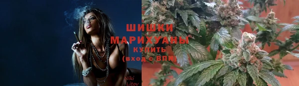 прущая мука Гусев