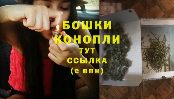 Альфа ПВП Дмитров